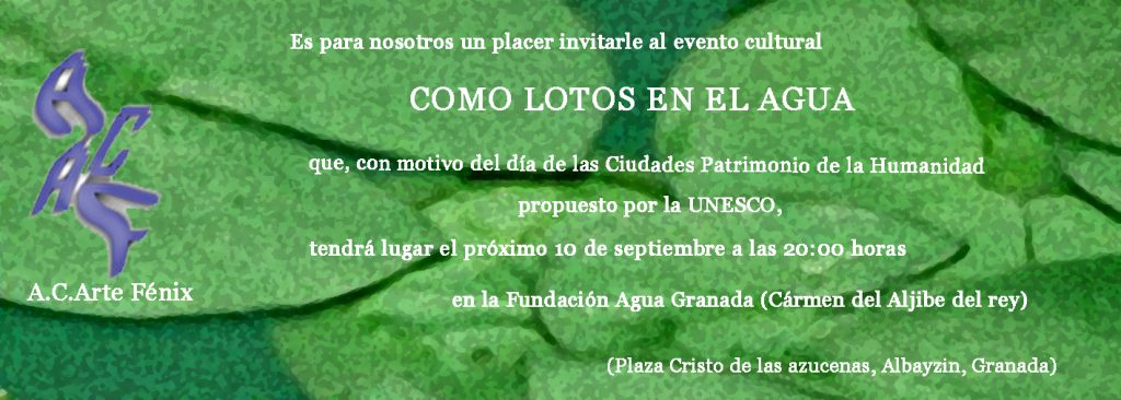 como-lotos-en-el-agua-invitacion